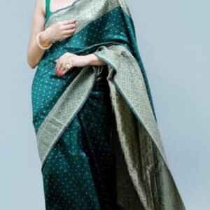 Elegant Traditional Silk Saree Look