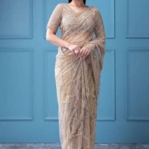 Champagne Beige Feather Net Saree