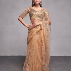 Champagne Gold Embellished Net Saree